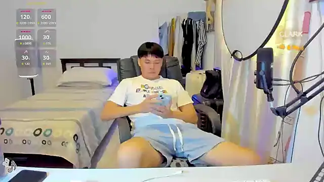 clarkdangerous webcam