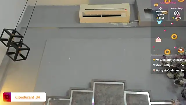 Cloedurant webcam