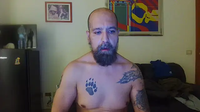 AMIRDIB2025 webcam