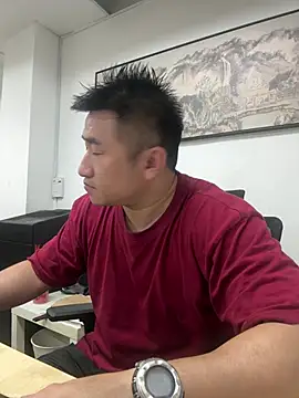 Cunzhangshibage02 webcam
