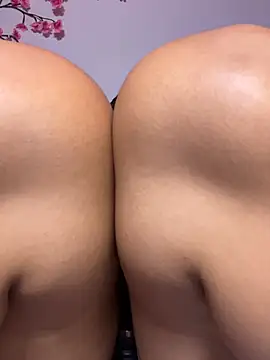 liaa_swan webcam