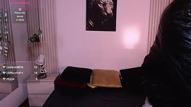 Sofysoul webcam
