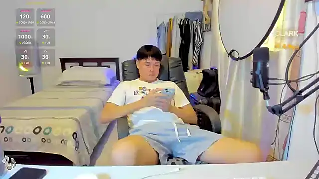 clarkdangerous webcam