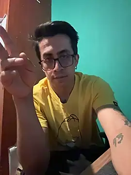Andy_n_cat webcam