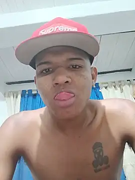 alexystop webcam