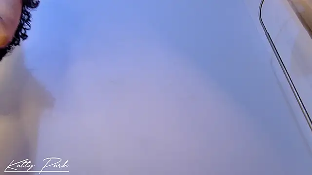 kattypark webcam
