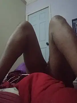 ReallyReallyReal webcam