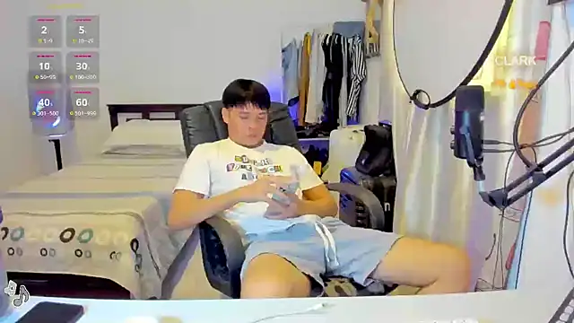 clarkdangerous webcam