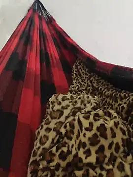 Domobom webcam