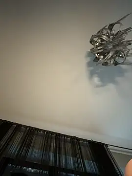 Andrestarr webcam