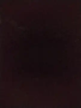 lmc-zz webcam