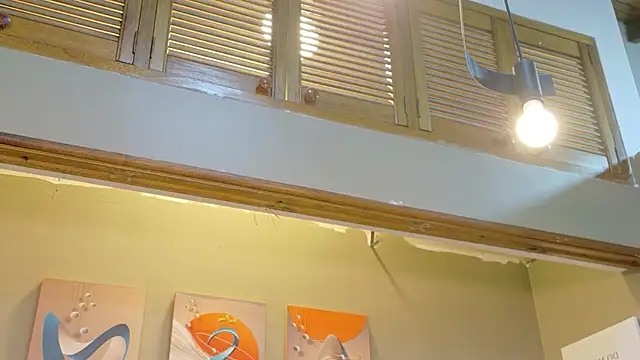 kaiawhite webcam