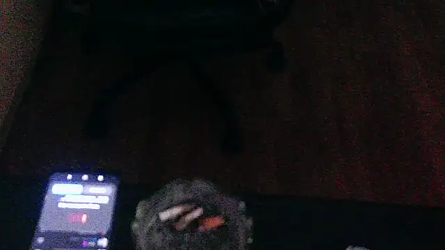 Andre95x webcam