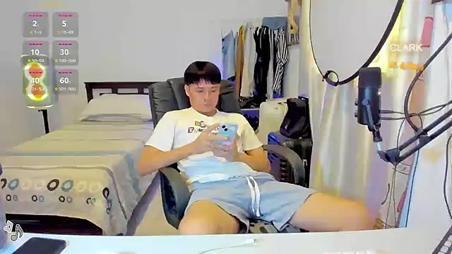 clarkdangerous webcam