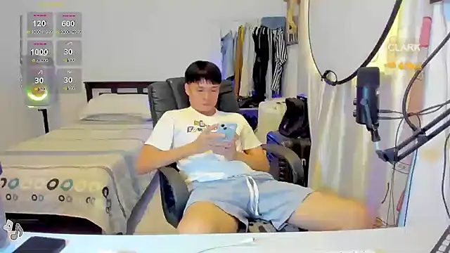 clarkdangerous webcam