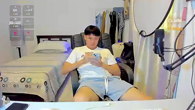 clarkdangerous webcam