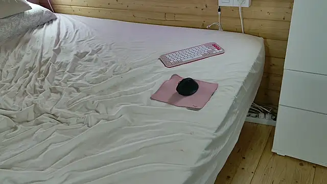 wild41 webcam