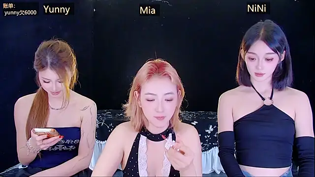 MiNi-U webcam