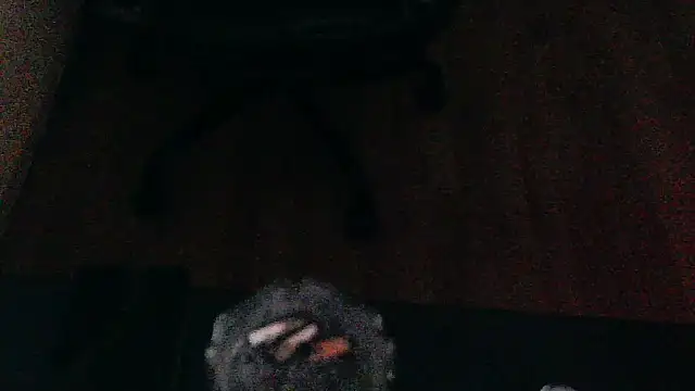 Andre95x webcam