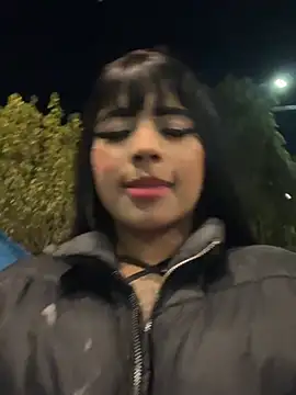 -Brittanny webcam