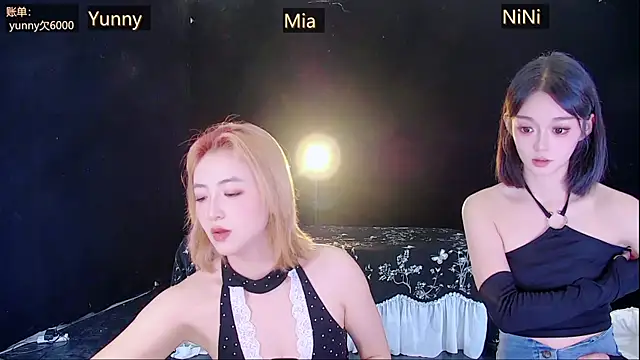 MiNi-U webcam