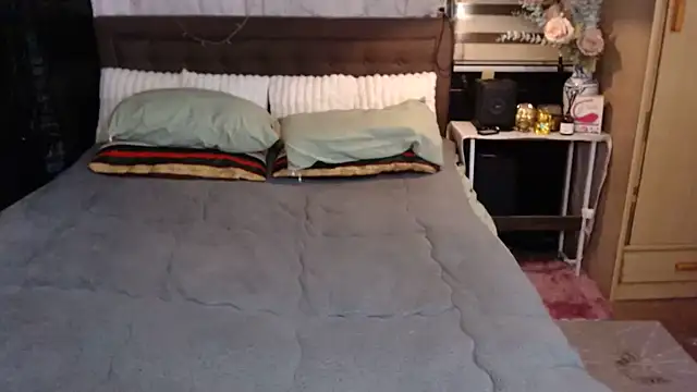xheavenlytrans webcam