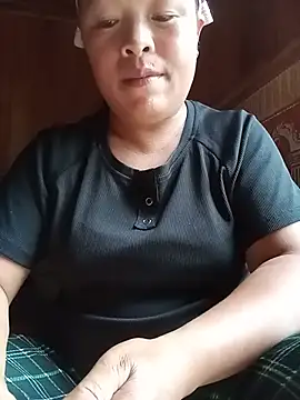 Ip34 webcam
