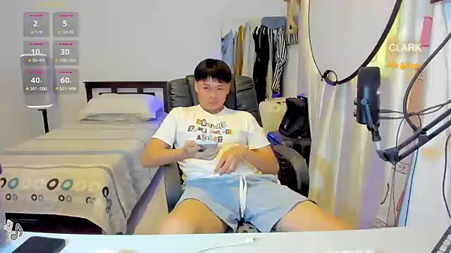 clarkdangerous webcam