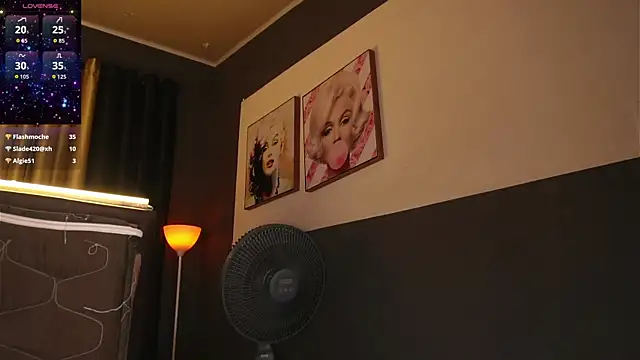 stelleknox_ webcam
