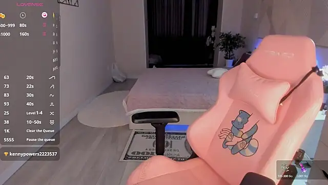 Seiko_swan webcam