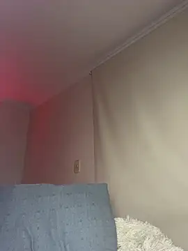 Samispank webcam