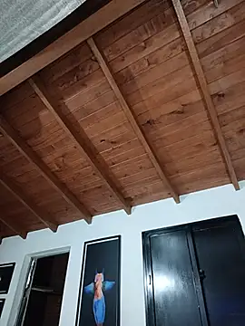 SilvaBranko webcam