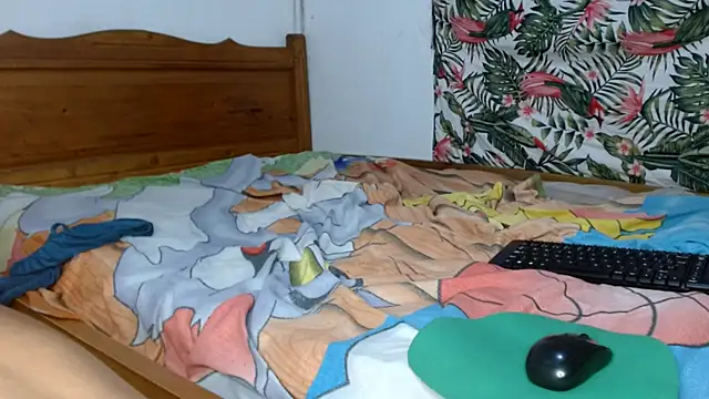 smallalyross webcam