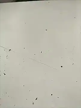 Pitercom webcam