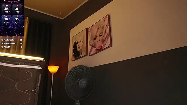 stelleknox_ webcam
