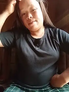 Ip34 webcam