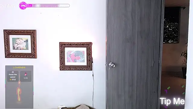 steventeylor webcam