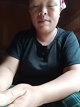 Ip34 webcam