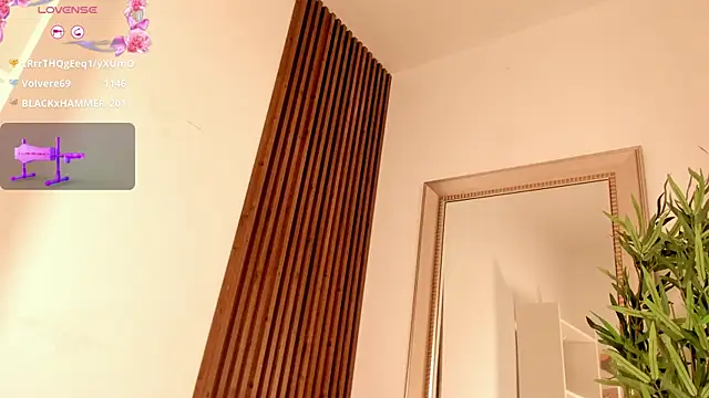 Frida-kiroga webcam