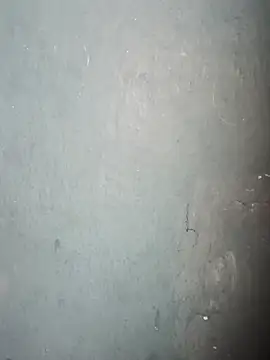 Model-031 webcam