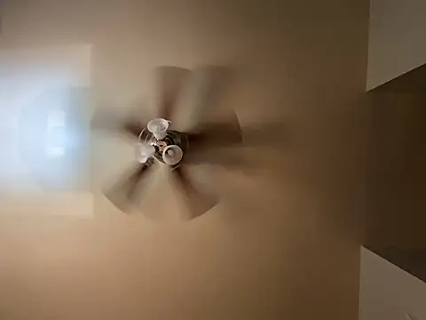 MikPapi webcam