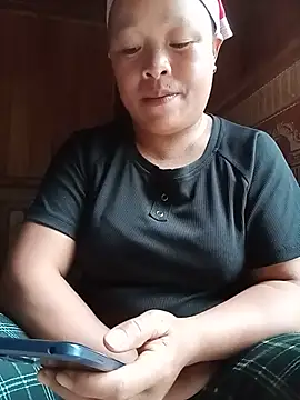Ip34 webcam
