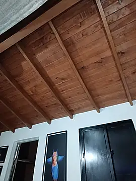 SilvaBranko webcam