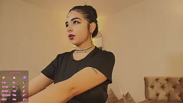 pao2c webcam