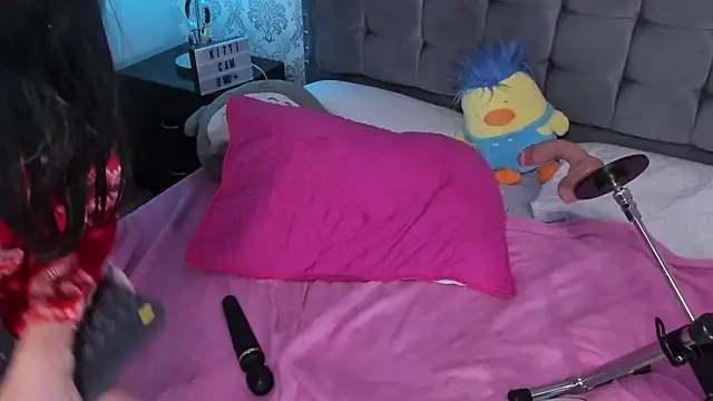 kitticam webcam
