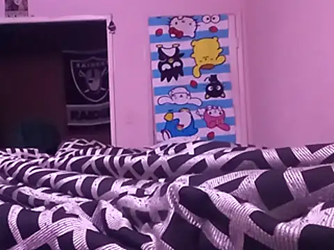 Blkstylion webcam