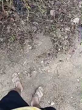 Forest_lover24 webcam