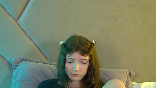 SophiaProve webcam