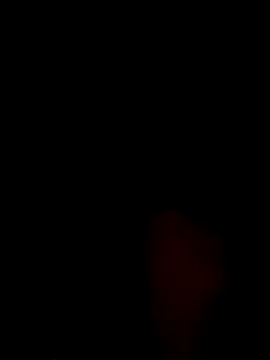 black_panther_8 webcam