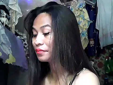 simplytrans webcam